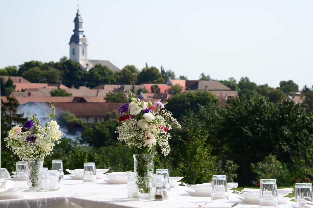 Villa De Dominique Erdőbénye エクステリア 写真